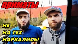 🔥 ДИКИЕ БОРОДАЧИ НЕ НА ТЕХ НАРВАЛИСЬ И ПОЗОРНО БЕЖАЛИ ПОДЖАВ ХВОСТЫ 🤣🤣🤣