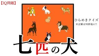 【IQ問題】『七匹の犬』---ひらめきクイズ---正解は95秒後に!!（iqテスト）