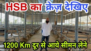 HSB के सीमन‌ की बढ़ती Popularity - बन चुका है भारत का नंबर एक Semen Bank || Only Original Semen