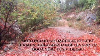 MORTIRNAKLAR DİKMENDİBİ- DAĞ ÇİLEPİ- SARIYER YÜRÜYÜŞ VİDEOSU