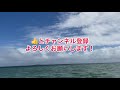 lepe ʻulaʻula verse1 choreography by mana 〜フラなのにチキンダンス！