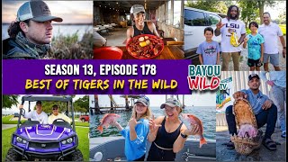 Bayou Wild [ep 178] TIGERS IN THE WILD HIGHLIGHTS | Bayou Wild Season 13 Full Episodes