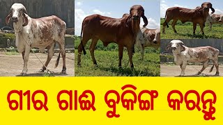 ଗୀର ଗୋମାତା ବୁକିଙ୍ଗ କରନ୍ତୁ ଓ ଦେଶି ଗୋମାତା ପାଳନ କରନ୍ତୁ By BISWA GOMATA SURAKHYA  (BGS) Sanjib Das