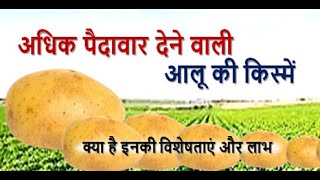 आलू की ये किस्में देगी ज्यादा उत्पादन | These varieties of potatoes will give more production