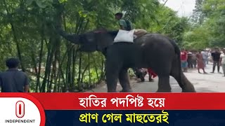 পিঠ থেকে ফেলে মাহুতকেই প দ পিষ্ট করল হাতিটি | Gopalgonj | News Update | Independent TV