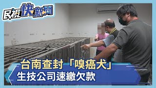 生技公司老闆欠費73萬  7隻百萬嗅癌犬遭扣速捧錢繳清－民視新聞