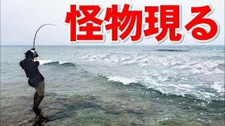 荒波リーフは化け物が多すぎて・・【OKINAWA】