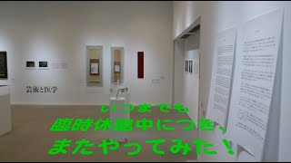 【続・無観客美術館】式場隆三郎展｜広島市現代美術館