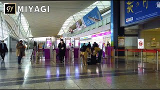 【MIYAGI】Sendai International Airport  Walking Tour  仙台国際空港から鉄道駅まで歩いてみた【4K】