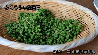 【簡単レシピ】実山椒で調味料作り/山椒の醤油漬け/山椒のオイル漬け/山椒味噌/ふくろうの森通信#029