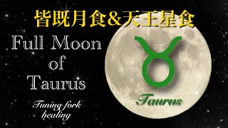 《3分瞑想🧘‍♀️》牡牛座満月♉️皆既月食\u0026天王星食 音叉ヒーリング♫ Taurus full moon Total lunar eclipse \u0026 Uranus eclipse