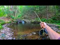 Fly Fishing for INCREDIBLE Trout!!