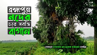 ব্রহ্মপুত্র নদের চরে সবজি বাগান | Brahmaputra River Sand Bed Bangladeshi Village Beauty Vlog