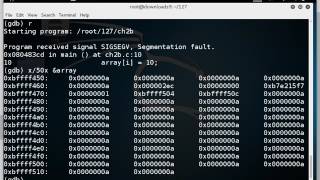 CNIT 127 Ch 2: Stack overflows on Linux