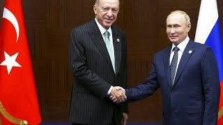 Ankara défend ses liens avec Moscou, et promet de défendre l'exportation des céréales ukr…