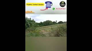 1 ஏக்கர் புஞ்சை நிலம் விற்பனைக்கு | Agriculture land for sale | ID:1117 | low budget land sale