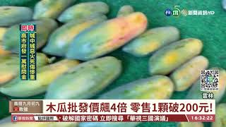 8月豪雨減產 林內鄉木瓜批發價飆4倍｜華視台語新聞 2021.10.14