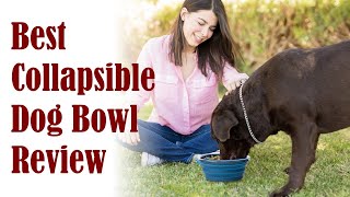 Best Collapsible Dog Bowl Review - Foldable Silicone Pet Travel Water Bowl