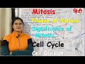 Mitosis in Hindi | Cell Cycle | Cell Division | Phases of Mitosis | Significance of Mitosis