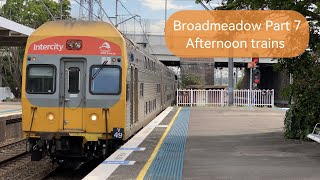 TNTV Vlog 138: Broadmeadow Part 7 - Afternoon trains