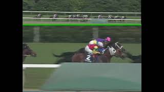 ライスシャワー 1995年 第36回宝塚記念(GI) (優勝馬：ダンツシアトル)