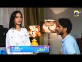 Girhein Episode 20 Promo | Tomorrow at 7:00 PM | Har Pal Geo