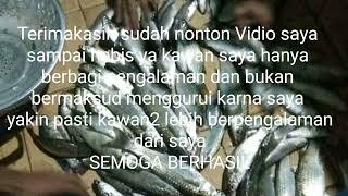 Ciri-ciri spot yg bagus buat mancing ikan belanak dan tips agar tidak boncos