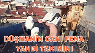 DÜŞMANİMİZİN BİRGÜNDE 2 TANE DÖNEĞİNİ YAKALADİK HEMDE TAKİM