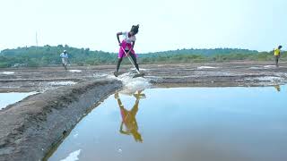 Salt Extraction in Goa - the current scenario | Sustainable Ripples Ep. 2