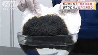 日本発“魔法の繊維”世界の海もキッチンも救う！(2021年6月20日)