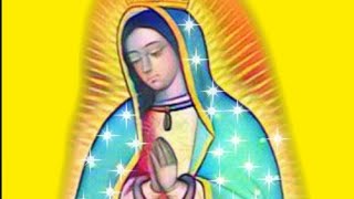 SANTO ROSARIO DEL DIA DE HOY SÁBADO 14 DE DICIEMBRE DEL 2019