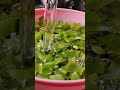 broad beans washing sounds | soothing sounds | cooking asmr sounds #short #JIchannel