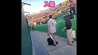 20240915　いよいよ聖地へ入場！広がる球場風景　スタンドの様子　#shorts@阪神甲子園球場･ﾚﾌﾄ外野