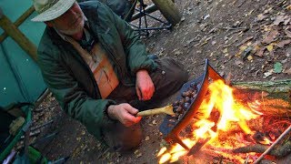 Roasting Fresh Chestnuts In The Forest