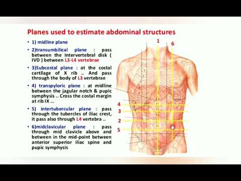 Abdomen(part 2)-planes, Quadrants And Nine Region Of Abdomen - YouTube