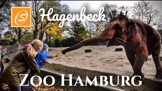 Tierpark Hagenbeck (Zoo Hamburg), Hamburg, Germany