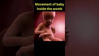 Movement of Baby inside the Womb