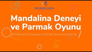 Mandalina Deneyi Yapıyoruz