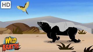 Amazing Adaptations Part 1-10 | How Animals Survive in the Wild | Wild Kratts