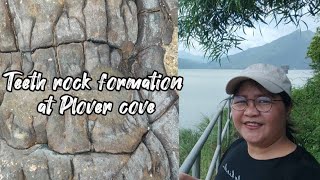 Teeth rock formation at Plover cove, New Territories, Hongkong