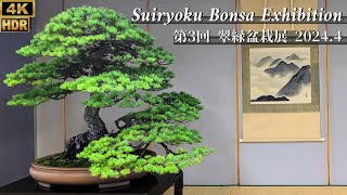 The 3rd Suiryoku Japanese Bonsai Exhibition 2024 ~翠緑盆栽展~ [4K HDR]