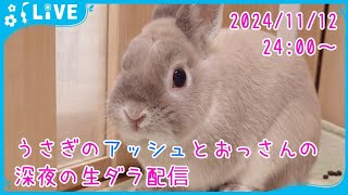 【雑談・うさぎ】うさぎのアッシュとおっさんの深夜の生ダラ配信　2024/11/12