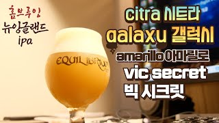 맥주는 역시 직접만들어먹어야 꿀잼이야 내가원하는 홉조합으로만든 ddh neipa#크맥#뉴잉#홈브루잉