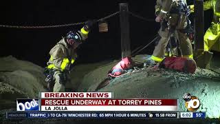 Two people rescued from cliff at Torrey Pines