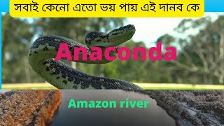 এনাকোন্ডা| আমাজন নদী| Amazon river|পৃথিবির সবচাইতে খরস্রোতা নদী| আমাজন নদী|