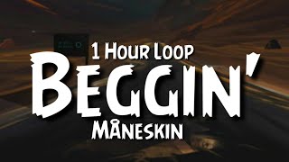 Måneskin - Beggin' {1 Hour Loop} TikTok Song.