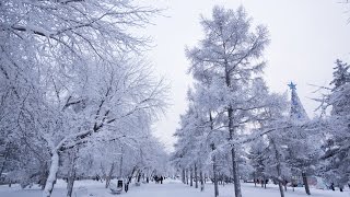 Rozhdestvo v Irkutske