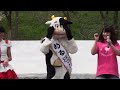 2015年04月12日 ピコピコ☆レボリューション 「城山お花見祭り」（富山県小矢部市･城山公園）