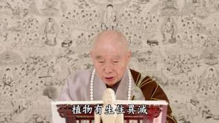 淨空法師：【夢幻泡影】不生不滅是真的，有生有滅是假的