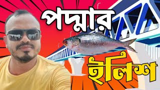 পদ্মার সুস্বাদু ইলিশ খেতে মাওয়া ঘাটে ll Eating Hilsha Fish At Mawa Ghat ll Podma River